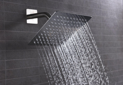 2 pièces pommeau de douche S3218NI