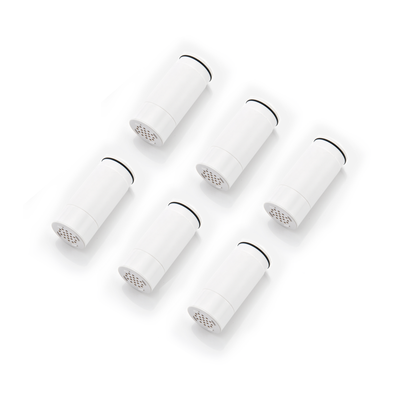 Cartouche de filtre de remplacement SUMERAIN SP7938-06 (pack de 6), élimine le chlore, les métaux lourds, adoucit l'eau dure